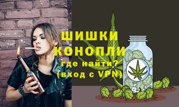 гидра Алексеевка