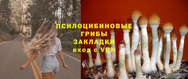 гидра Алексеевка