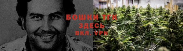 гидра Алексеевка